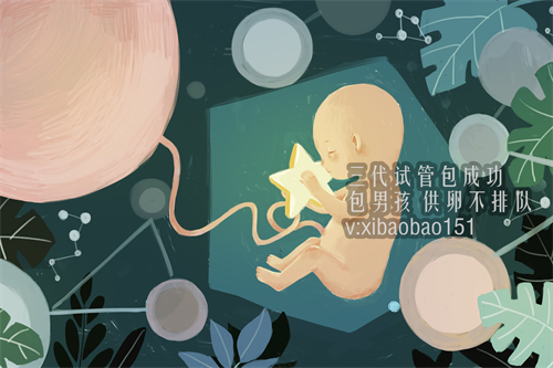 上海哪里可以做供卵试管_如何诊断多囊卵巢综合